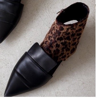 Leopard