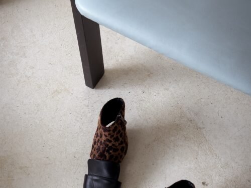 Leopard
